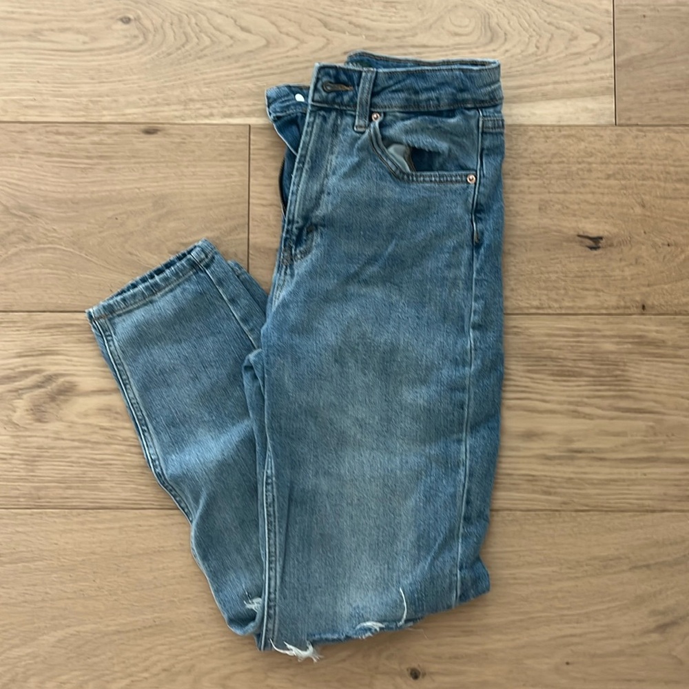Wild Fable High Rise Mom Jean